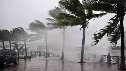 8月臺(tái)風(fēng)雨即將來，除濕機(jī)還得用起來