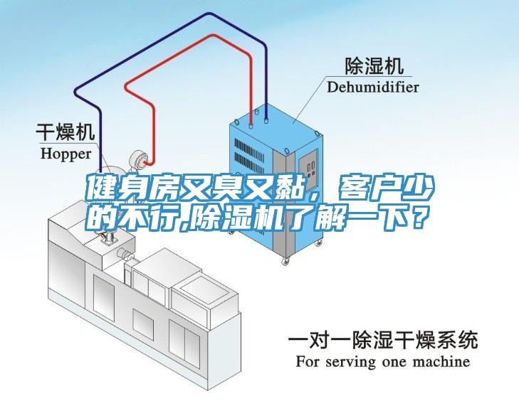 健身房又臭又黏，客戶少的不行,除濕機(jī)了解一下？