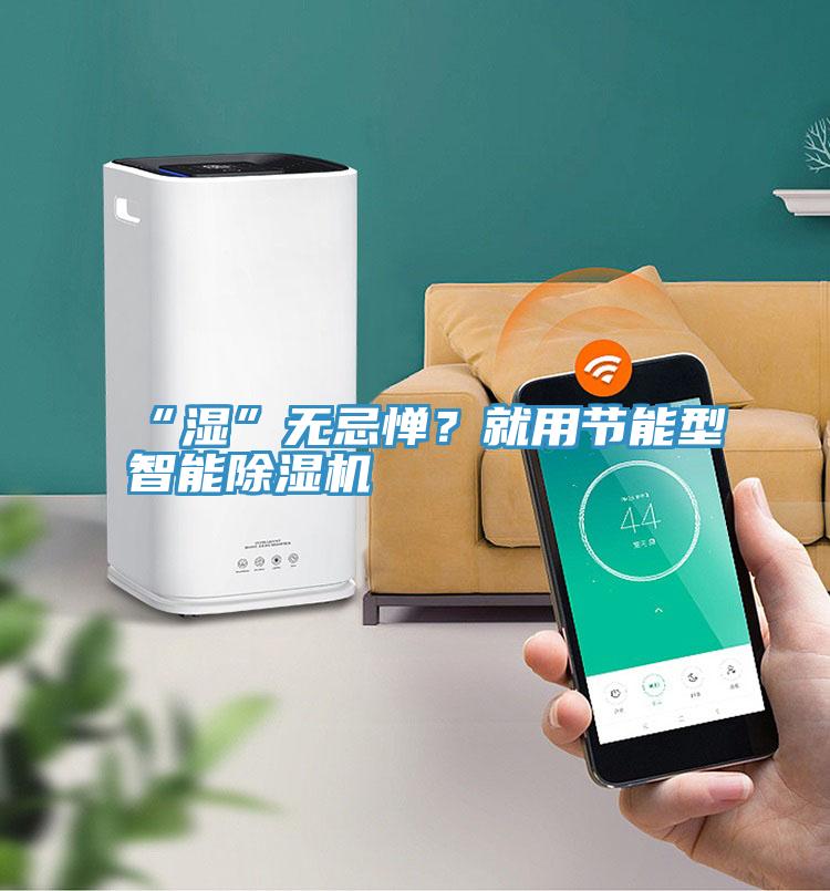 “濕”無忌憚？就用節能型智能除濕機