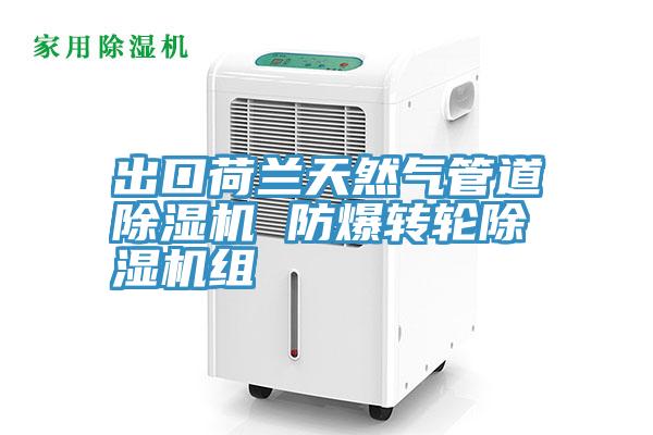 出口荷蘭天然氣管道除濕機 防爆轉輪除濕機組