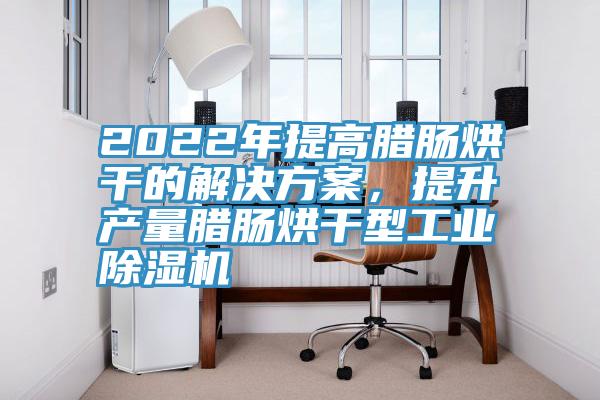 2022年提高臘腸烘干的解決方案，提升產量臘腸烘干型工業(yè)除濕機