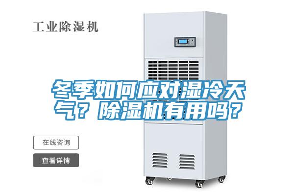 冬季如何應對濕冷天氣？除濕機有用嗎？