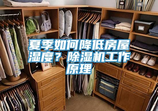 夏季如何降低房屋濕度？除濕機工作原理