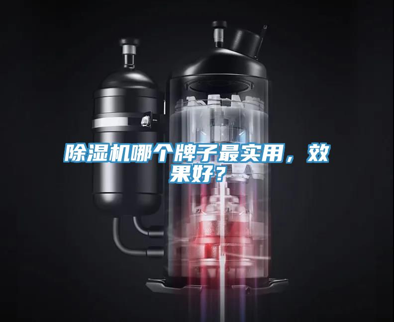 除濕機哪個牌子最實用，效果好？