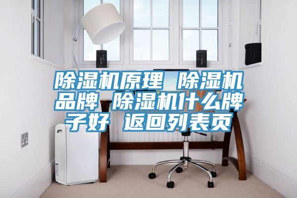 除濕機原理 除濕機品牌 除濕機什么牌子好 返回列表頁