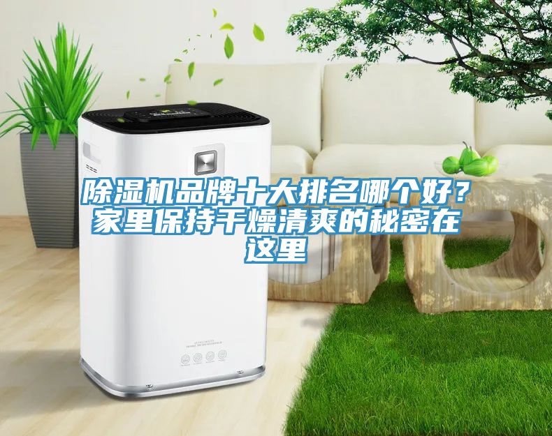 除濕機品牌十大排名哪個好？家里保持干燥清爽的秘密在這里