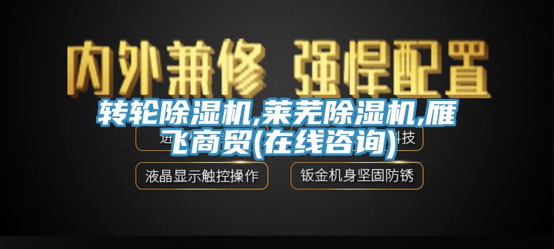 轉輪除濕機,萊蕪除濕機,雁飛商貿(在線咨詢)