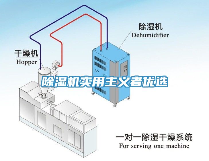 除濕機實用主義者優選