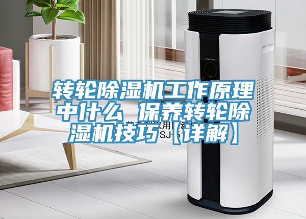 轉輪除濕機工作原理中什么 保養(yǎng)轉輪除濕機技巧【詳解】