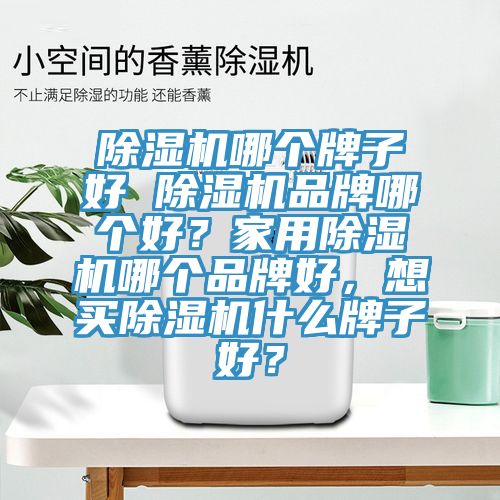 除濕機(jī)哪個牌子好 除濕機(jī)品牌哪個好？家用除濕機(jī)哪個品牌好，想買除濕機(jī)什么牌子好？