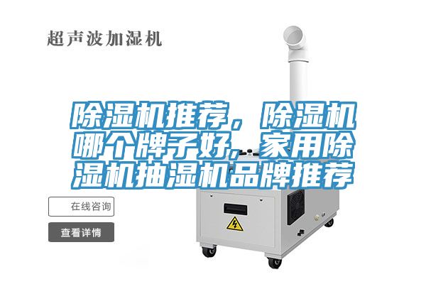 除濕機推薦，除濕機哪個牌子好, 家用除濕機抽濕機品牌推薦