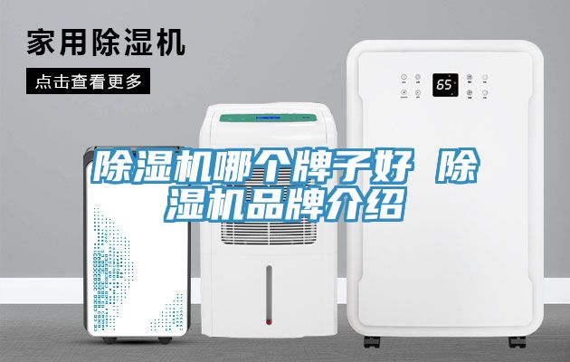 除濕機哪個牌子好 除濕機品牌介紹