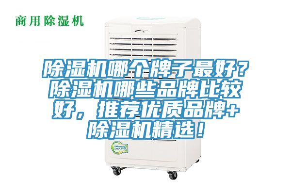 除濕機哪個牌子最好？除濕機哪些品牌比較好，推薦優質品牌+除濕機精選！