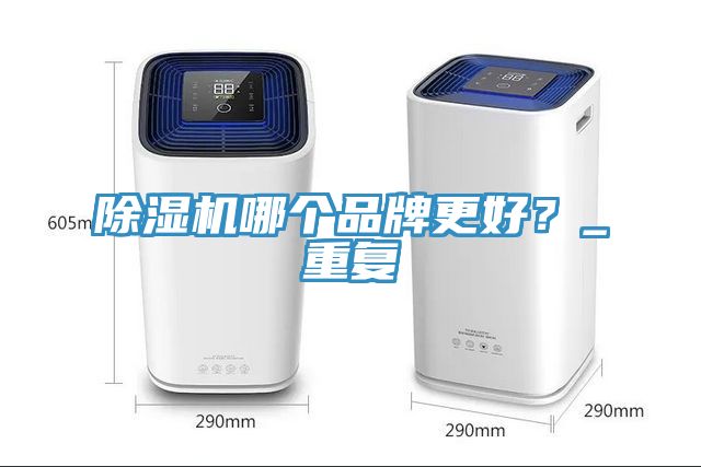 除濕機哪個品牌更好？_重復