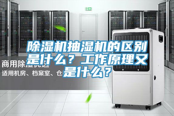 除濕機抽濕機的區別是什么？工作原理又是什么？